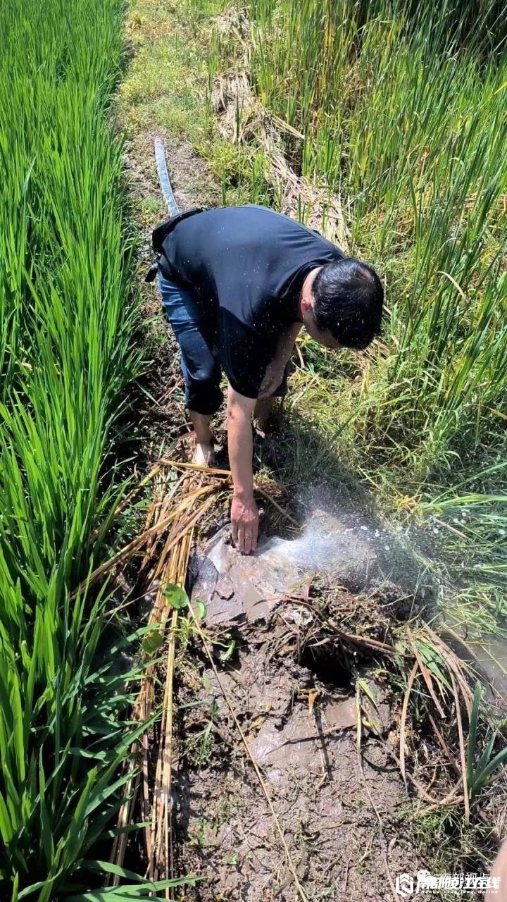 南部茶馆-南部陵江在线气愤！高温保供水形势严峻，但南部县竟然还有人这样干！南部陵江在线(2)